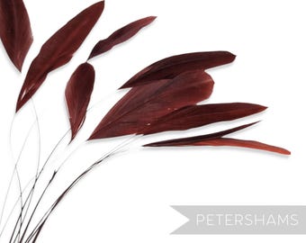 Rust Loose Stripped Coque Feathers for Millinery & Fascinators (Pack of 10)