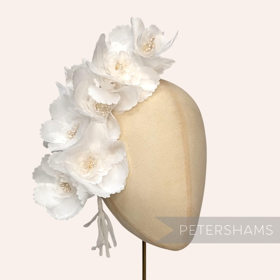 Ivory Organza  display picture 1