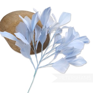 May include: A light blue feather spray with multiple feathers attached to a thin stem. The feathers are a soft, pastel blue color. The spray is positioned in front of a brown, rounded object. The word "PETERSHAMS" is visible in the lower right corner.