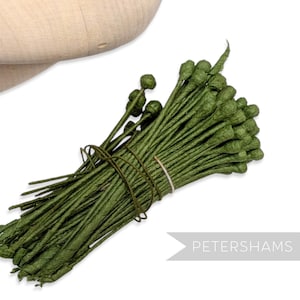 Pode incluir: Um maço de caules florais verdes embrulhados em papel com pontas em forma de botão, amarrados com barbante verde. Os caules são de cor verde floresta escura. A palavra "PETERSHAMS" está no canto inferior direito.
