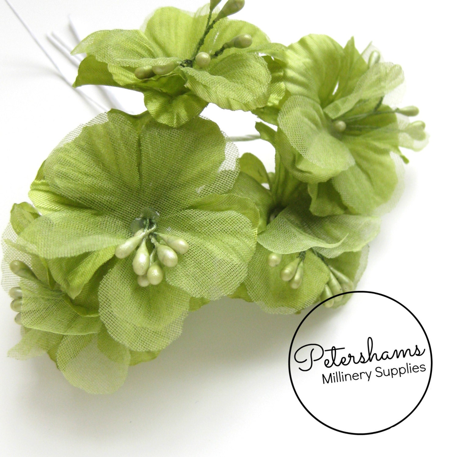 Green hibiscus deals