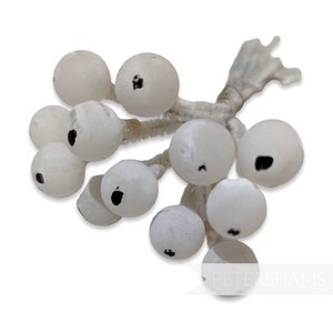 May include: A cluster of white berries with black centers, attached to a white stem. The berries are arranged in a bunch, creating a decorative element.