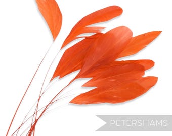 Burnt Orange Loose Stripped Coque Feathers for Millinery & Fascinators (Pack of 10)