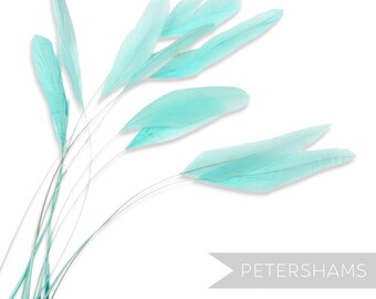 Aqua Gestreifte Coque Federn für Hutmacherhandwerk & Fascinator (10er Pack)