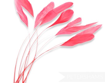 Loose Stripped Coque Feathers (Pack of 10) for Millinery & Fascinators - Coral