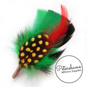 Men's Green & Black Hat Feathers Millinery Mount Turkey, Hackle and Spotted Guinea Feathers image 1