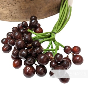 Vintage 1940&#39;s &#39;Max&#39; German Glass Currants on Rolled Stems - For Millinery and Crafting - Brown