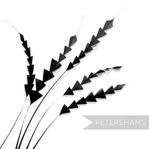 Black Zig Zag Coque Feather for Millinery & Fascinators - Pack of 5
