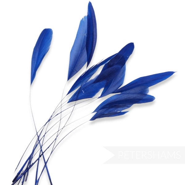 Loose Stripped Coque Feathers (Pack of 10) for Millinery & Fascinators - Royal Blue