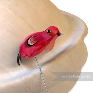 May include: A decorative, vibrant pink bird ornament with a black tail and a thin wire stem. The bird has a detailed eye and a small beak. The bird is set against a light wooden background. The text "PETERSHAMS" is visible in the lower right corner.