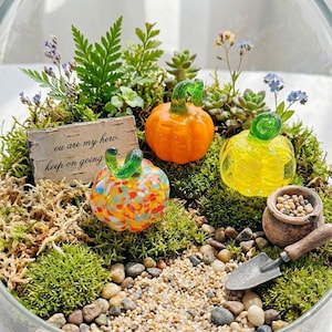 Miniatyrpumpafigur i glas, handgjord pumpa i lampwork i glas, liten trädgårdsdekor, tillbehör till älvträdgårdar, färgglad glaskonstgåva