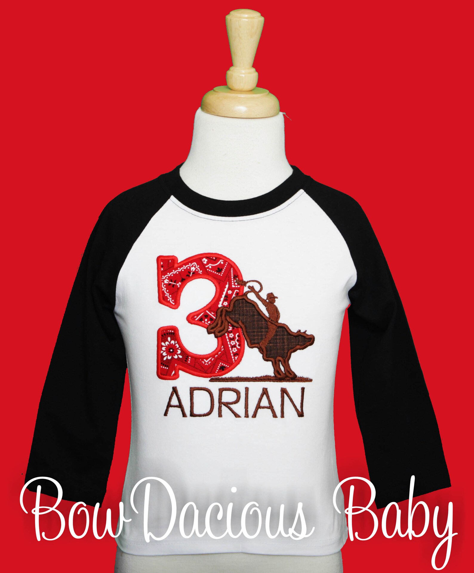 Bull Rider Birthday Shirt, Bull Riding, Rodeo Birthday Shirt, Custom ...