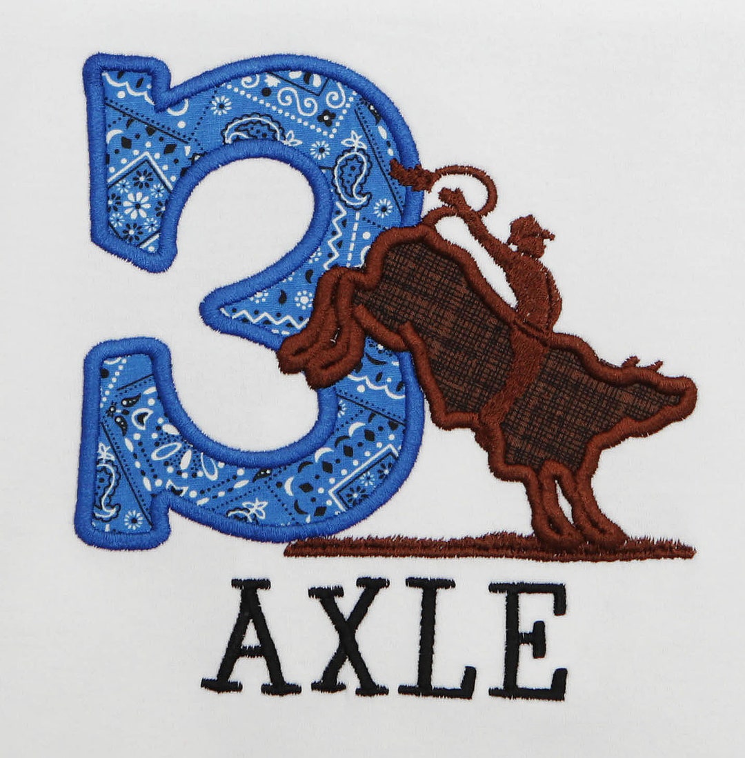 Bull Rider Birthday Shirt, Bull Riding, Rodeo Birthday Shirt, Custom ...
