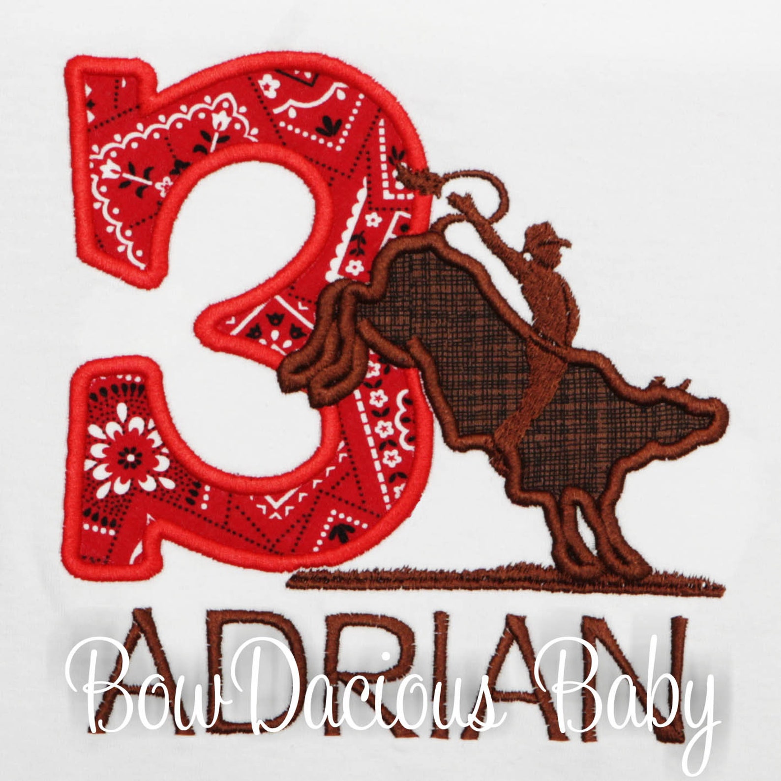 Bull Rider Birthday Shirt, Bull Riding, Rodeo Birthday Shirt, Custom ...