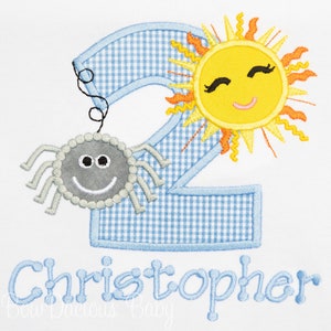 Spider Birthday Shirt, Sun Birthday Shirt, Custom, Personalized, Any Age and Colors