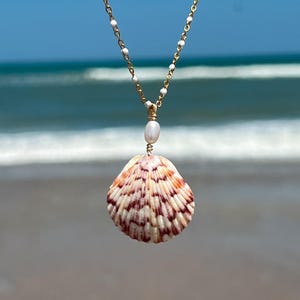 May include: A seashell pendant necklace with a gold chain and white beads. The shell is a mix of orange, white, and maroon colors. A single pearl is attached to the shell. The background is a blurred view of the ocean.