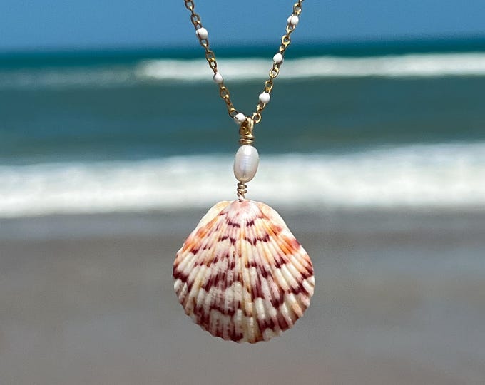 Calico Shell Necklace | Ocean Jewelry | Picked Along the FL Coasts