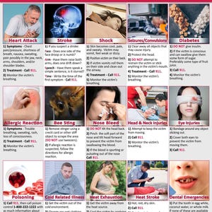 Puede incluir: Una infografía colorida con ilustraciones y texto que explica los procedimientos de primeros auxilios para diversas emergencias médicas, incluyendo ataque cardíaco, derrame cerebral, shock, convulsiones, diabetes, reacción alérgica, picadura de abeja, hemorragia nasal, lesiones en la cabeza y el cuello, lesiones en los ojos, envenenamiento, enfermedad relacionada con el frío, agotamiento por calor, insolación y emergencias dentales.