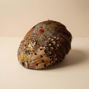May include: A rounded hat covered in layered pheasant feathers featuring a natural color palette of brown, tan, cream, and iridescent green, accented with small, distinct red feathers scattered across the textured surface.