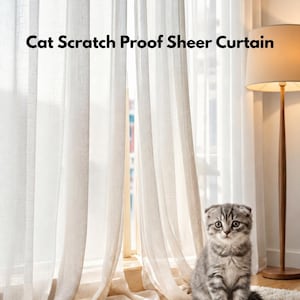 Może przedstawiać: Biała, półprzezroczysta zasłona z czarnym napisem Cat Scratch Proof Sheer Curtain. Zasłona wisi w oknie, a mały szary kotek pręgowany siedzi na fakturowanym dywanie obok wysokiej lampy podłogowej z beżowym kloszem.