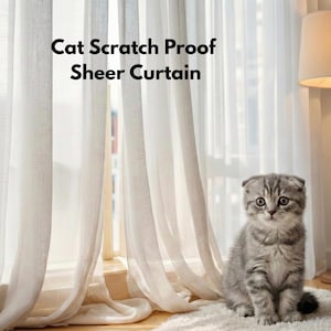 Könnte beinhalten: Ein weißer, transparenter Vorhang mit dem schwarzen Text Cat Scratch Proof Sheer Curtain. Ein graues getigertes Kätzchen mit Schlappohren sitzt vor dem Vorhang. Eine hohe Stehlampe mit beigem Schirm steht rechts neben dem Vorhang.