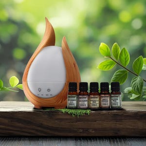 Aromatherapie-Diffusor für ätherische Öle mit 5 ätherischen Ölen
