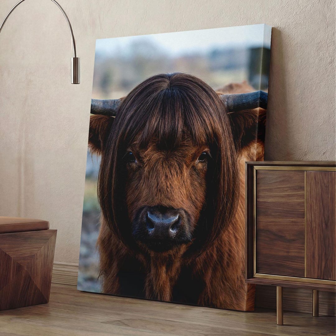 Funny Highland Cow With Wig Canvas Print, Sassy Animal Wall Art ...