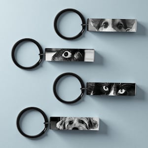 Chaveiro personalizado com foto de animal de estimação: olhos de animal de estimação gravados, presente de segurança ao dirigir em aço inoxidável