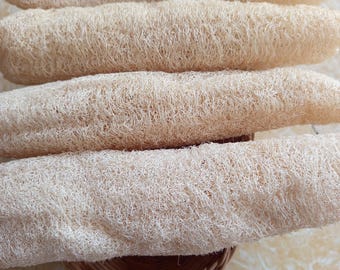 Set of 4 loofah sponges for dishwashing and back scrubbing, zero-waste, eco-friendly, and 100% natural, made from plant-based materials.