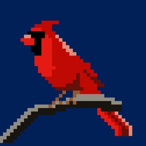 Five Bird Cross Stitch Patterns