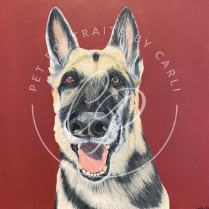 Custom Pet Portraits