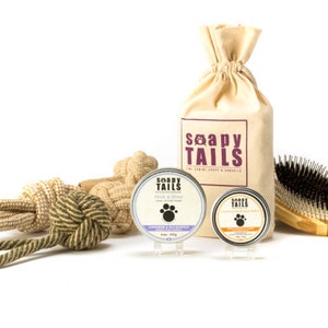 Soapy Tails Groom & Go Dog Gift Set