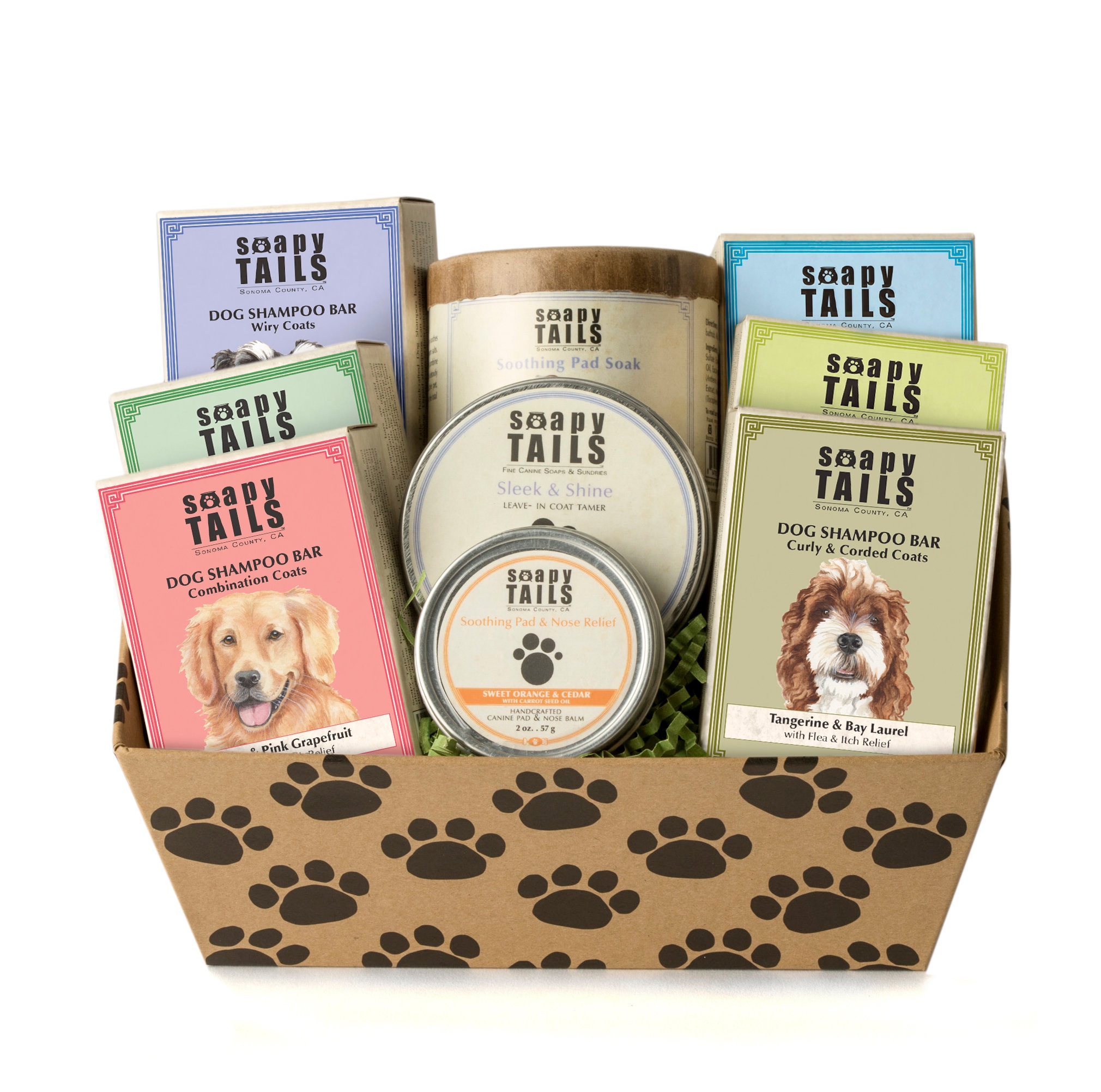 Is It Better To Soak Dry Dog Food