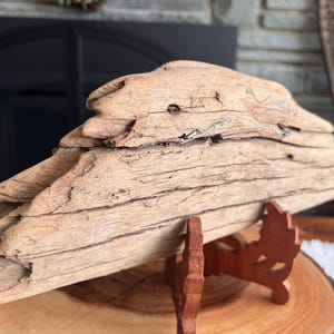 May include: A piece of driftwood, light brown in color, resting on a wooden stand. The driftwood has a rough, textured surface with visible cracks and imperfections. The stand is a dark brown color and has a decorative design. The driftwood is displayed on a wooden slice.