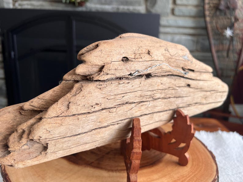 May include: A piece of driftwood, light brown in color, resting on a wooden stand. The driftwood has a rough, textured surface with visible cracks and imperfections. The stand is a dark brown color and has a decorative design. The driftwood is displayed on a wooden slice.