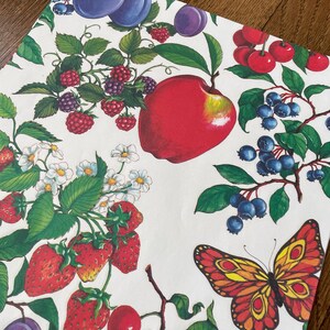 May include: A white paper featuring a vibrant illustration of fruits such as apples, strawberries, cherries, blueberries, and plums. The design also includes green leaves and a red and yellow butterfly.