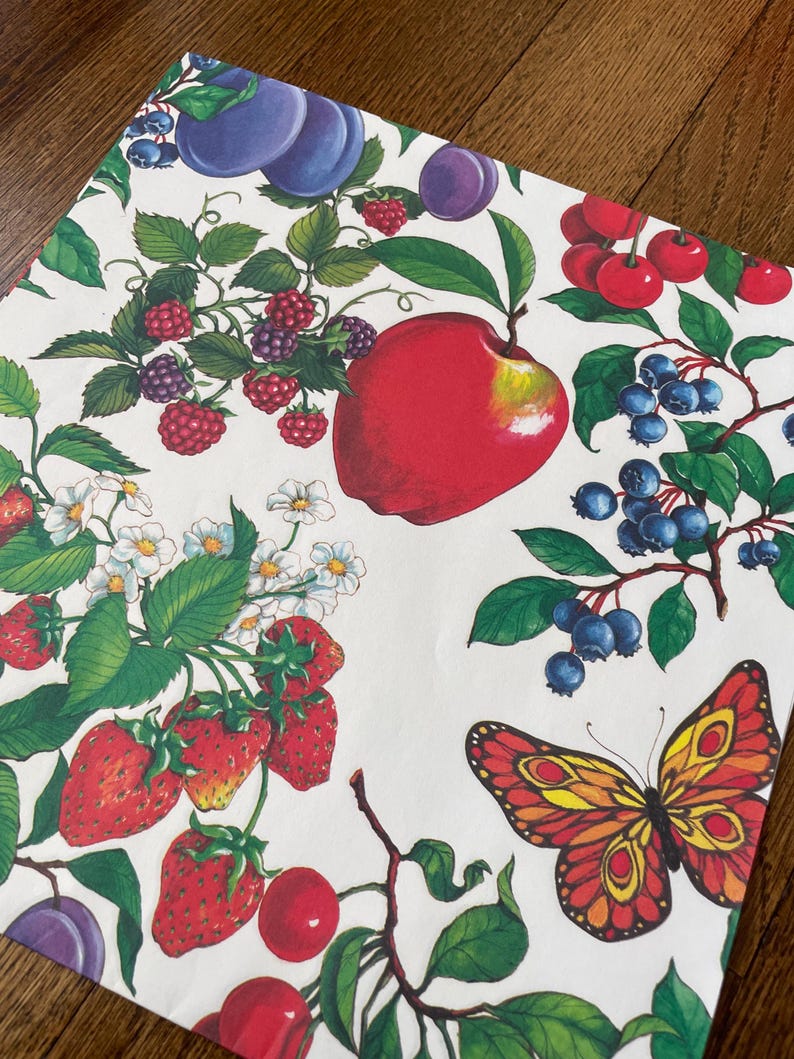 May include: A white paper featuring a vibrant illustration of fruits such as apples, strawberries, cherries, blueberries, and plums. The design also includes green leaves and a red and yellow butterfly.