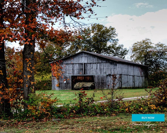 Tobacco Barn Frenchburg Kentucky Fine Art Print on Paper Canvas or Wood by Brenda Salyers by Brenda Salyers