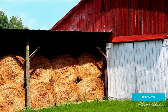 Barn with Hay Morehead Kentucky Fine Art Print on Paper canvas or Wood by Brenda Salyers by Brenda Salyers