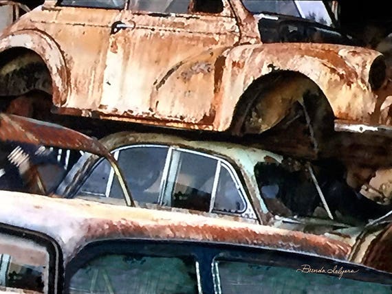 Old Cars in Junk Yard, Chevrolet, Ford, Dodge, Fine Art Giclee Print on Canvas Paper or Wood by artist Brenda Salyers by Brenda Salyers