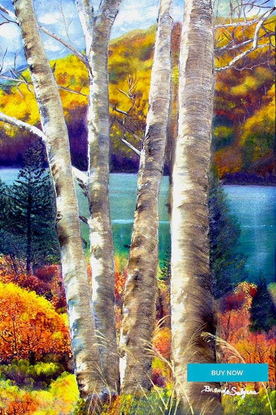 Trees at Cave Run Lake Kentucky Fine Art Print on Paper Canvas Wood by Brenda Salyers by Brenda Salyers