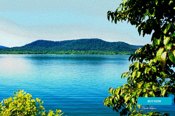 Cave Run Lake Summer Morehead Kentucky Fine Art Giclee Print on Paper Canvas or Wood by Brenda Salyers by Brenda Salyers