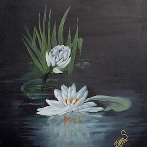 Water Lily Giclee Print on Fine Art Paper Canvas or Wood by Brenda Salyers by Brenda Salyers