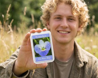 Carteira Kentucky Blue Violet Flower | Carteira Magsafe