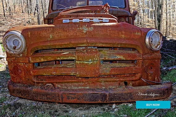 Big Mouth Dodge Farmers Kentucky Giclee Print on Fine Art Paper Canvas or Wood by Brenda Salyers by Brenda Salyers