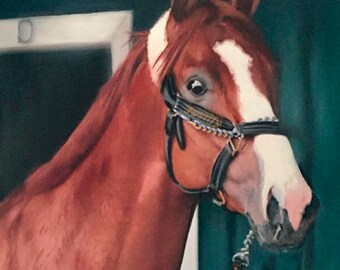 Justify, Kentucky Derby, Belmont, Preakness Winner Impressões giclée em papel de lona ou madeira por Brenda Salyers por Brenda Salyers