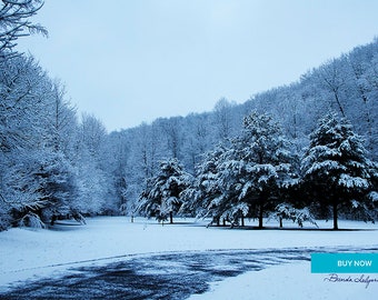 Kentucky Snow Storm by Brenda Salyers Fine Art Giclee Print on Paper  Canvas or Wood by Brenda Salyers by Brenda Salyers