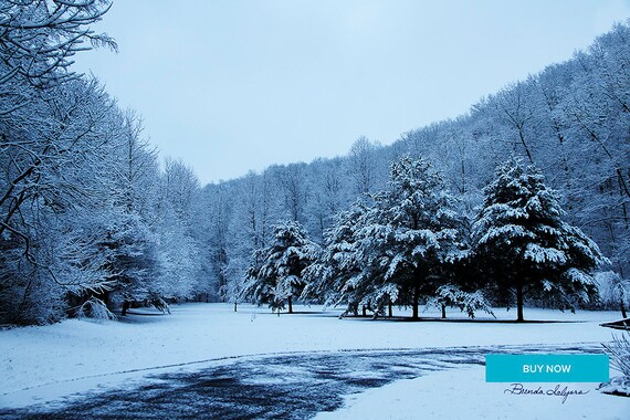 Kentucky Snow Storm by Brenda Salyers Fine Art Giclee Print on Paper Canvas or Wood by Brenda Salyers by Brenda Salyers