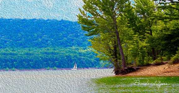 Sailboat on Cave Run Lake Morehead,Kentucky Fine Art Print on Paper Canvas or Wood by Brenda Salyers by Brenda Salyers