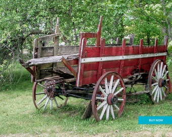 Farm Manure Spreader by Brenda Salyers, Fine Art Giclee Print on Paper Canvas or Wood by Brenda Salyers by Brenda Salyers